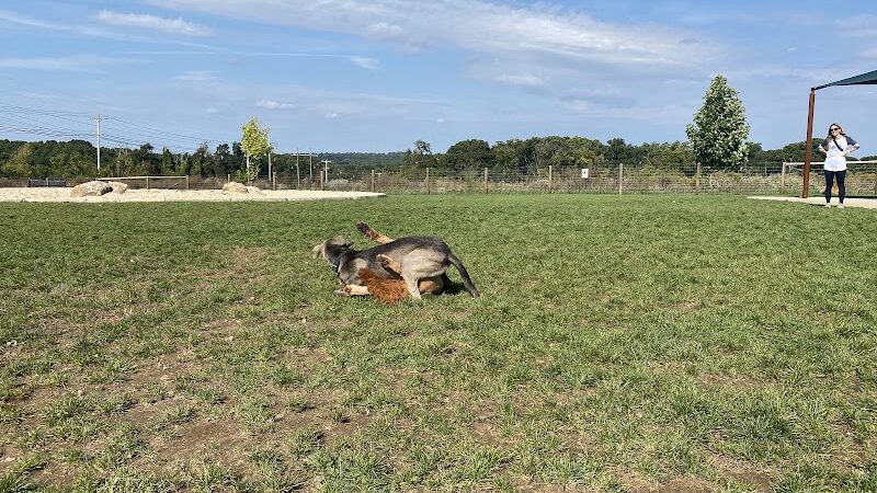 Uxbridge Dog Park - Uxbridge, MA