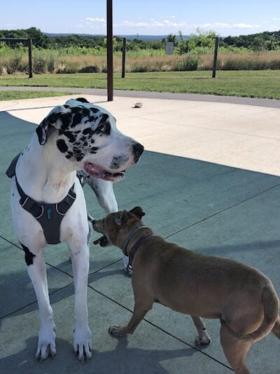 Uxbridge Dog Park - Uxbridge, MA