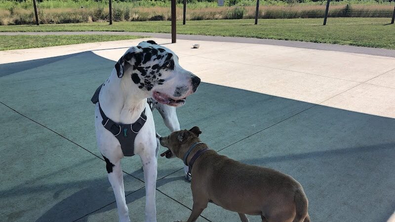 Uxbridge Dog Park - Uxbridge, MA