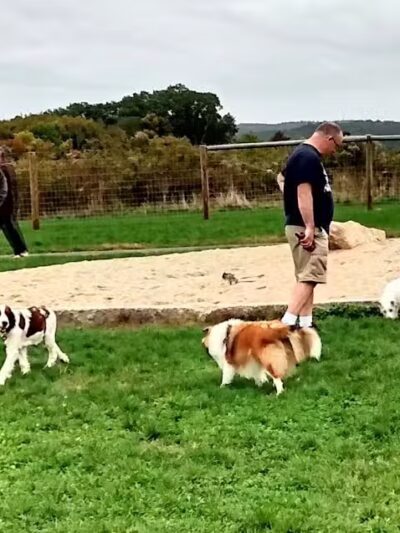 Uxbridge Dog Park - Uxbridge, MA