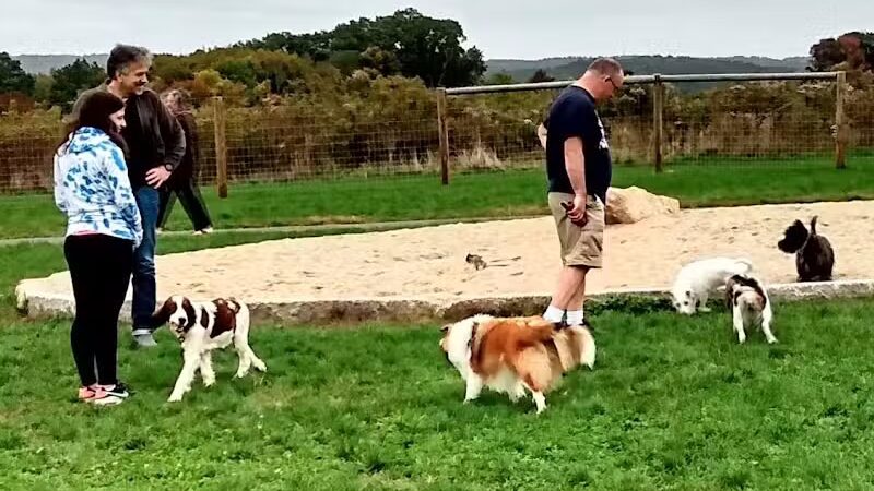 Uxbridge Dog Park - Uxbridge, MA