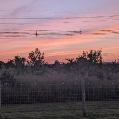 Uxbridge Dog Park - Uxbridge, MA