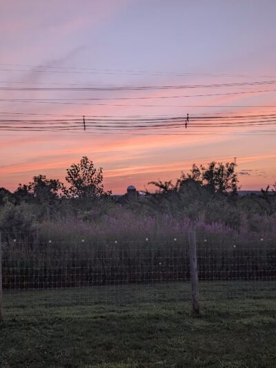 Uxbridge Dog Park - Uxbridge, MA