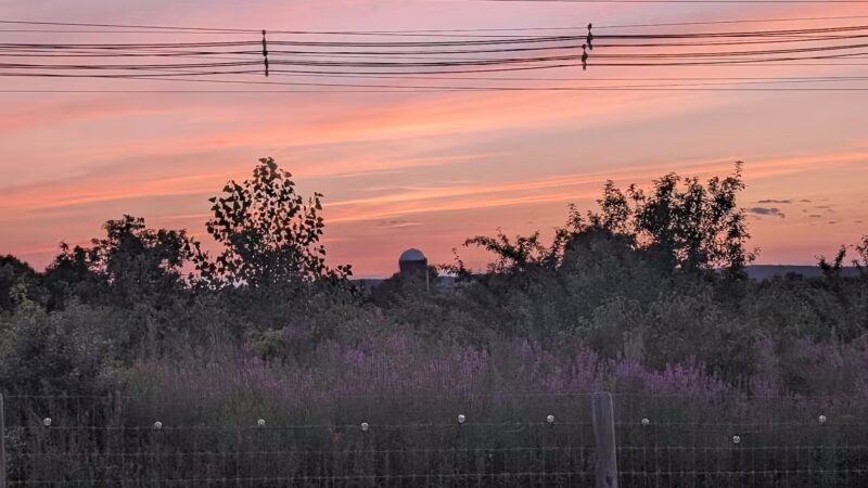 Uxbridge Dog Park - Uxbridge, MA