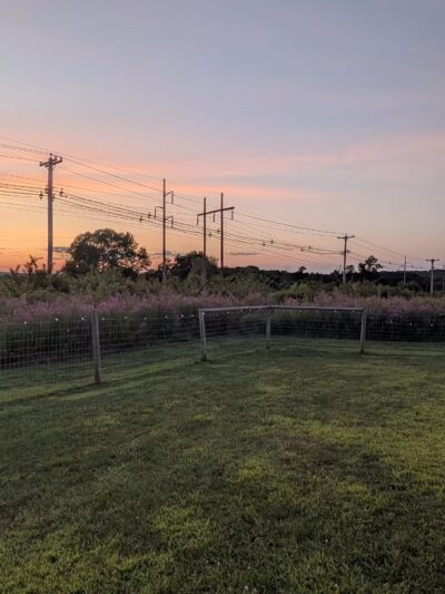 Uxbridge Dog Park - Uxbridge, MA