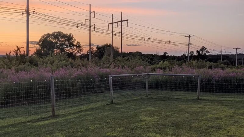 Uxbridge Dog Park - Uxbridge, MA