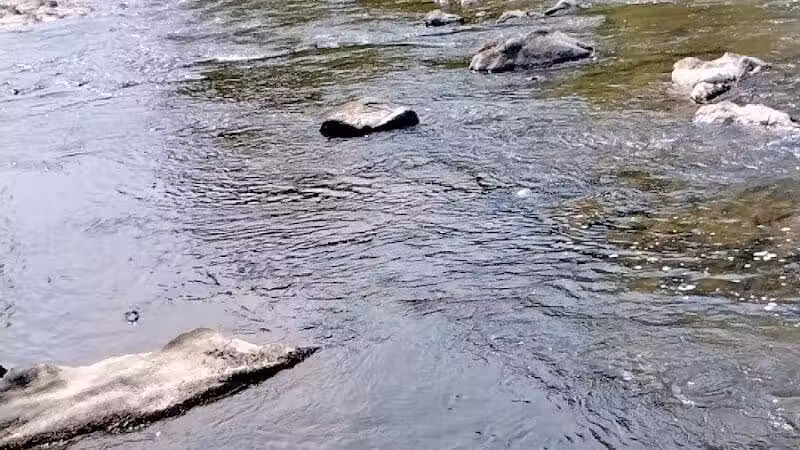 Pachaquack Preserve - Valatie, NY