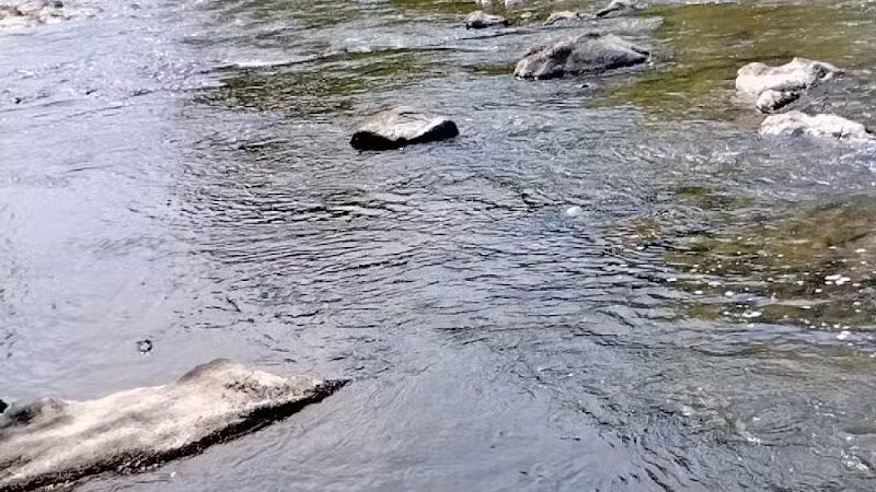 Pachaquack Preserve - Valatie, NY