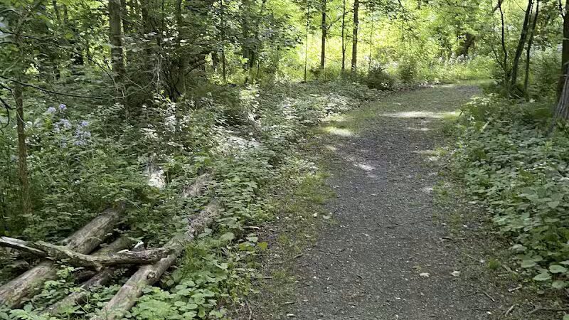 Pachaquack Preserve - Valatie, NY