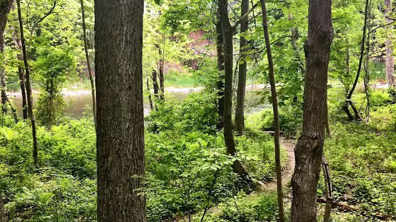 Pachaquack Preserve - Valatie, NY