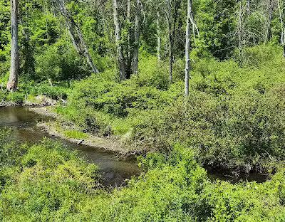 The Empire State Trail NivervilleTrailhead - Valatie, NY