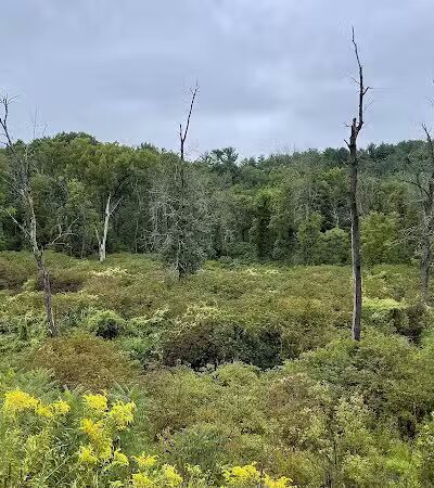 The Empire State Trail NivervilleTrailhead - Valatie, NY