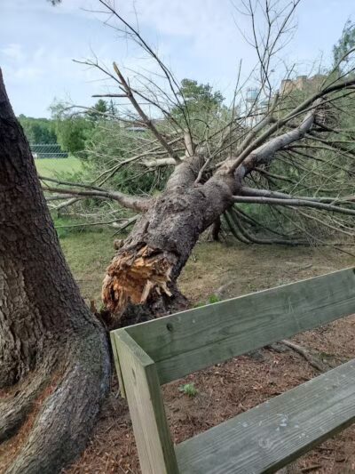Volunteer Park - Valatie, NY