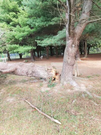 Volunteer Park - Valatie, NY