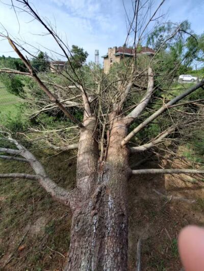 Volunteer Park - Valatie, NY