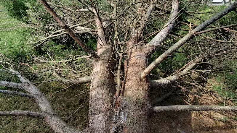 Volunteer Park - Valatie, NY