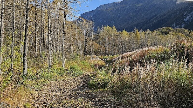 Mineral Creek Trailhead - Valdez, AK