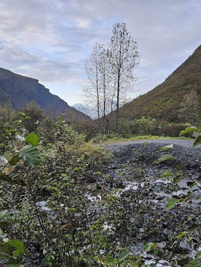 Mineral Creek Trailhead - Valdez, AK