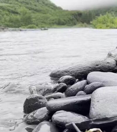 Mineral Creek Trailhead - Valdez, AK