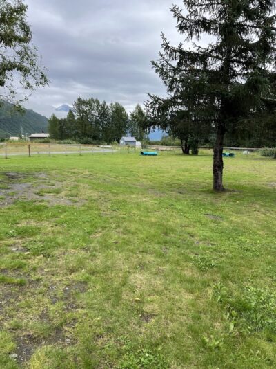 Valdez Dog Park - Valdez, AK
