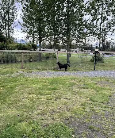 Valdez Dog Park - Valdez, AK