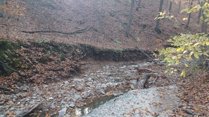 Johnson Trail - Valmeyer, IL
