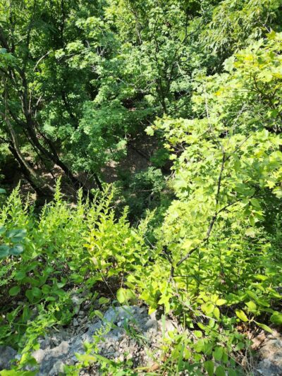 Johnson Trail - Valmeyer, IL