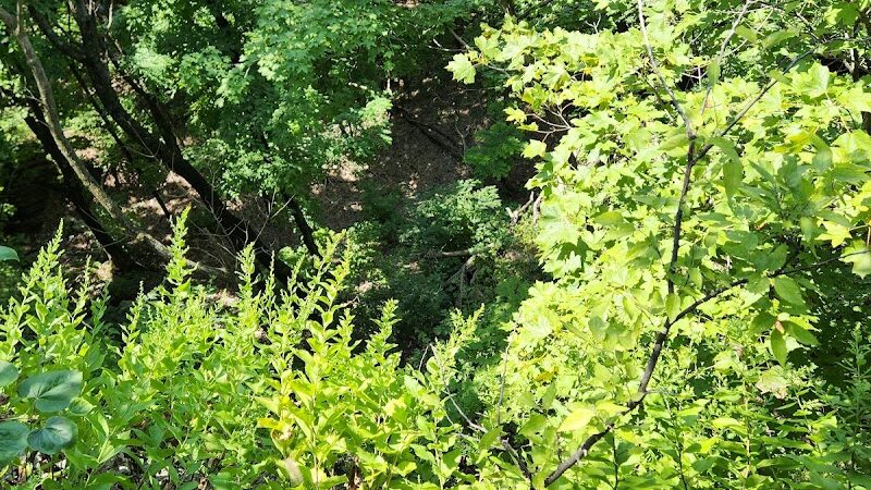 Johnson Trail - Valmeyer, IL