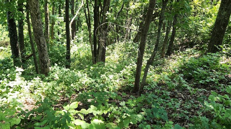 Johnson Trail - Valmeyer, IL