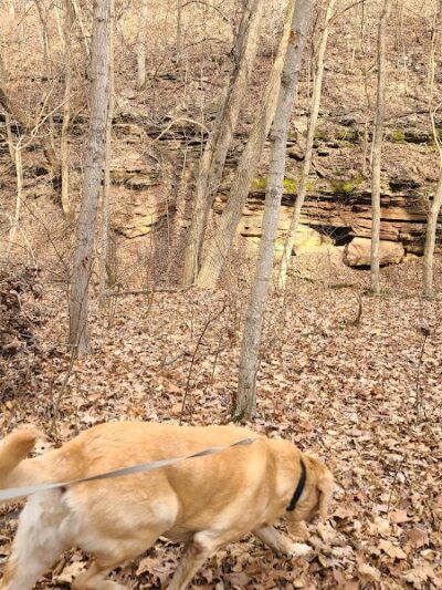 Salt Lick Point and Water Reserve Trailhead - Valmeyer, IL