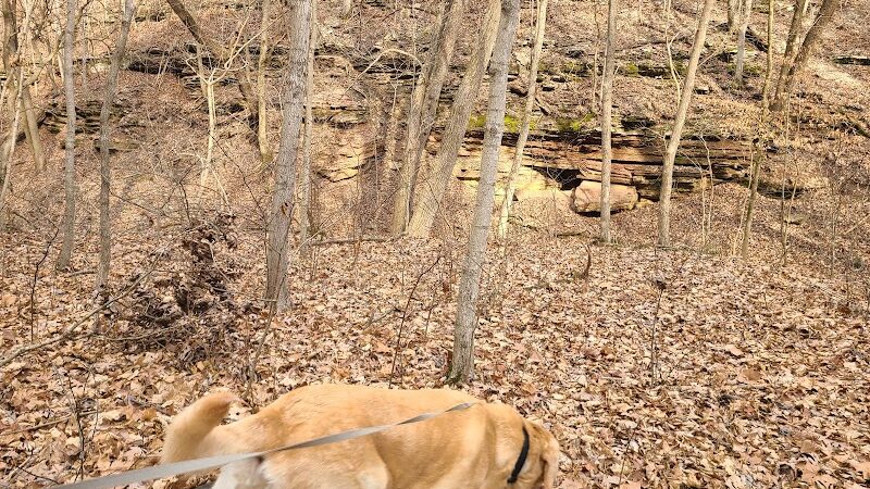 Salt Lick Point and Water Reserve Trailhead - Valmeyer, IL