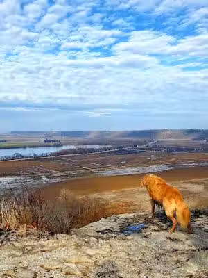 Salt Lick Point Land And Water Reserve - Valmeyer, IL