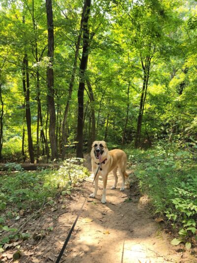 Salt Lick Point Land And Water Reserve - Valmeyer, IL