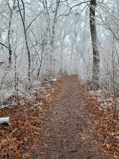 Salt Lick Point Land And Water Reserve - Valmeyer, IL
