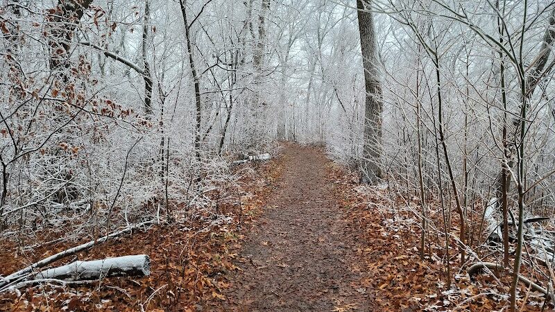 Salt Lick Point Land And Water Reserve - Valmeyer, IL