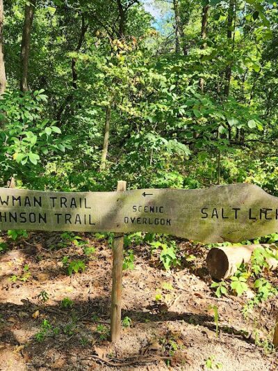 Salt Lick Point Land And Water Reserve - Valmeyer, IL