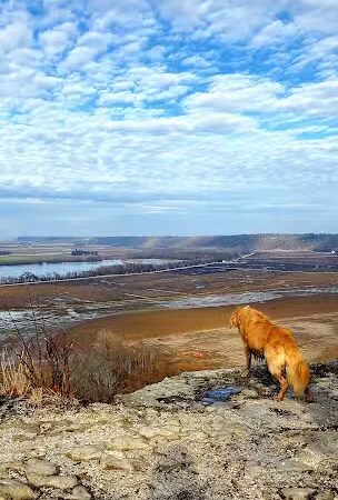 Salt Lick Point Land And Water Reserve - Valmeyer, IL