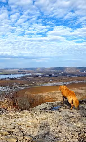 Salt Lick Point Land And Water Reserve - Valmeyer, IL