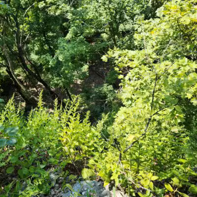 Johnson Trail - Valmeyer, IL