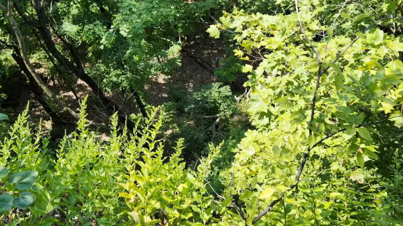 Johnson Trail - Valmeyer, IL