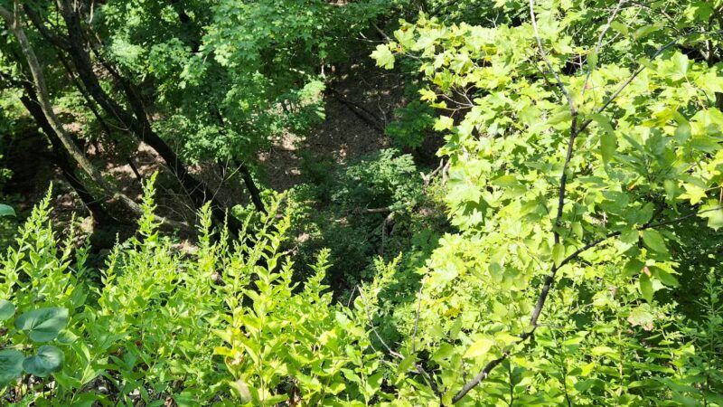 Johnson Trail - Valmeyer, IL