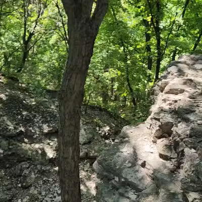 Johnson Trail - Valmeyer, IL