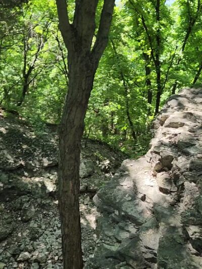 Johnson Trail - Valmeyer, IL