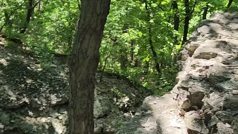 Johnson Trail - Valmeyer, IL