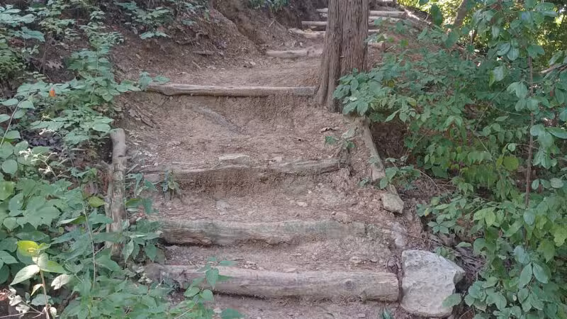 Salt Lick Point and Water Reserve Trailhead - Valmeyer, IL
