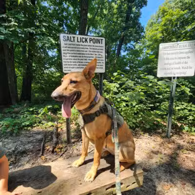 Salt Lick Point Land And Water Reserve - Valmeyer, IL