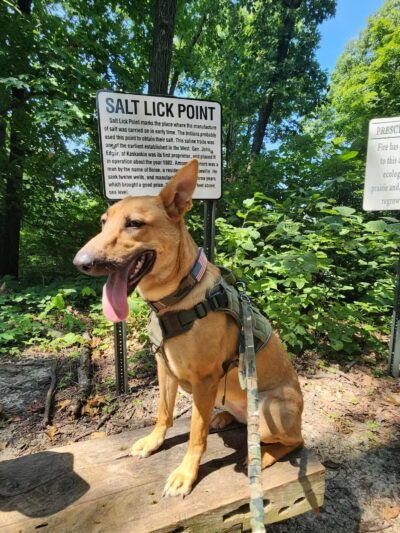 Salt Lick Point Land And Water Reserve - Valmeyer, IL