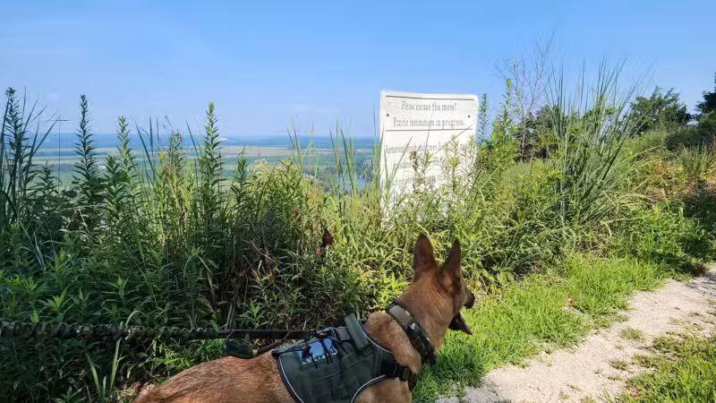 Salt Lick Point Land And Water Reserve - Valmeyer, IL
