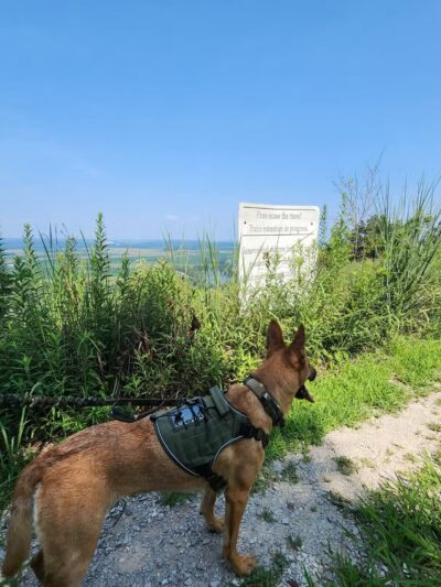 Salt Lick Point Land And Water Reserve - Valmeyer, IL