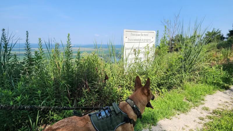 Salt Lick Point Land And Water Reserve - Valmeyer, IL